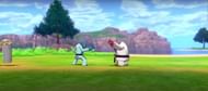 Sawk and Throh are both from Unova (Image via Game Freak)